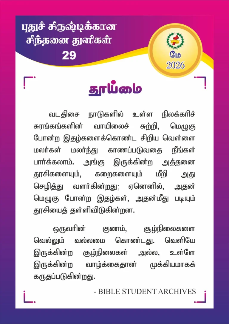 தூய்மை